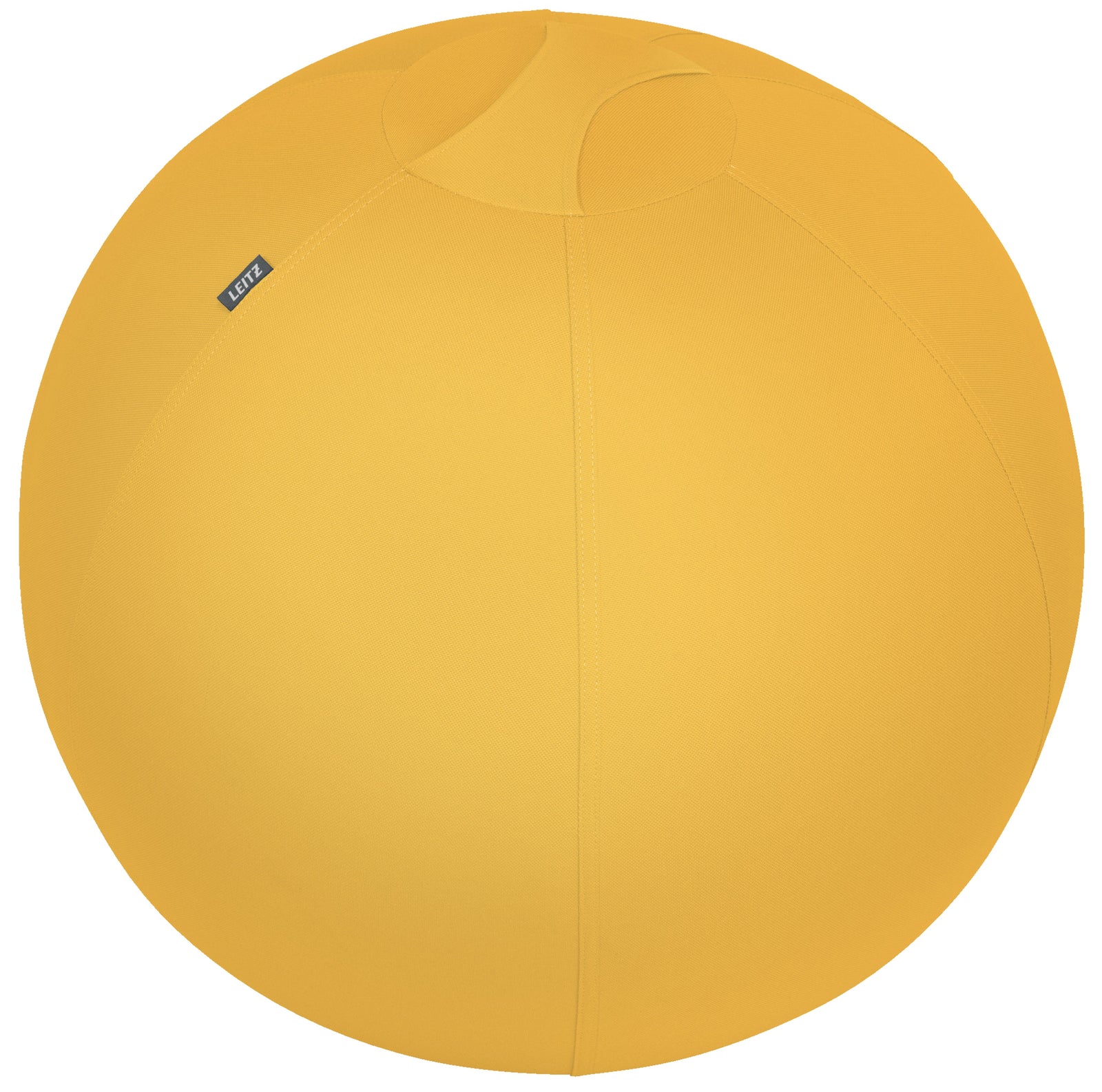Ballon ergonomique Ergo Cosy Active