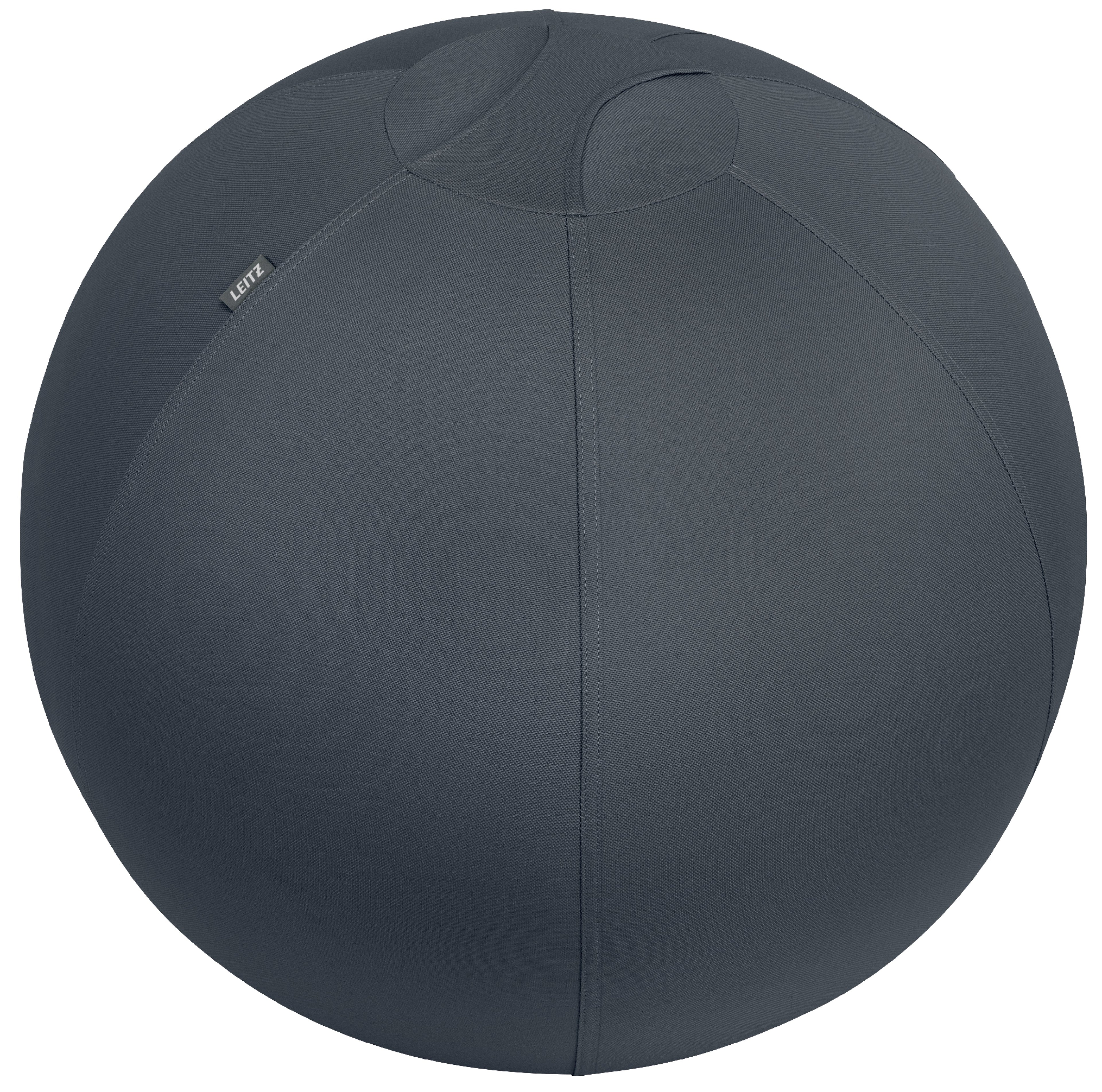 Ballon ergonomique Ergo Cosy Active
