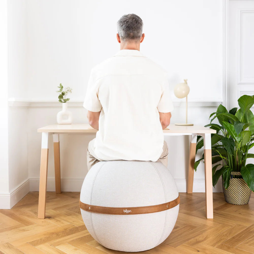 photo du produit bloon ballon vue large avec une personne assis dessus