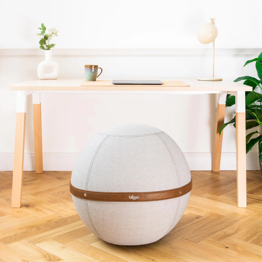 photo du produit bloon ballon vue large